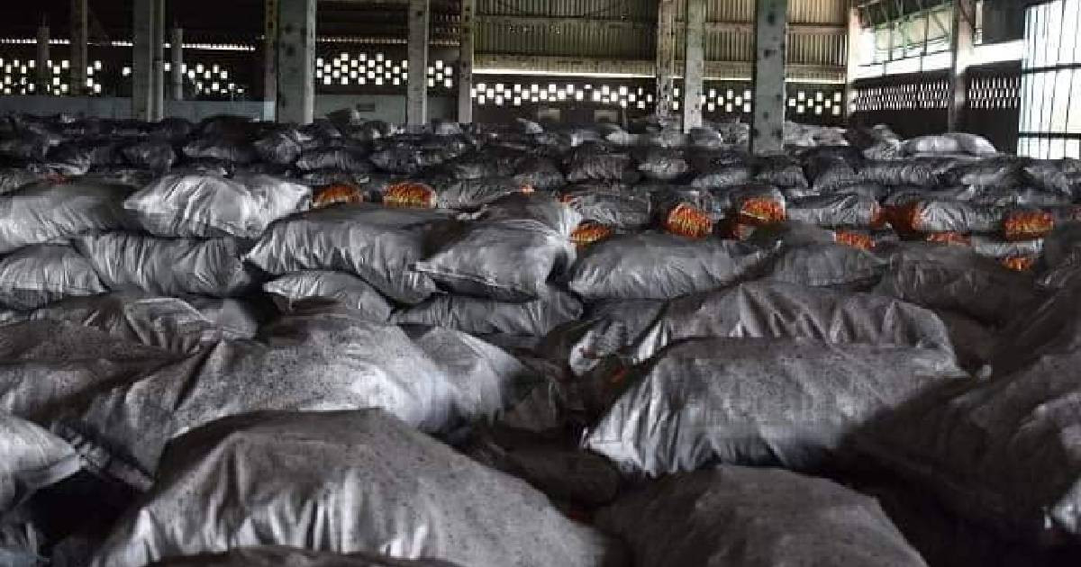 Abundant Marab&uacute;, Scarce Charcoal: Las Tunas Fails to Capitalize on Its Rich Resource