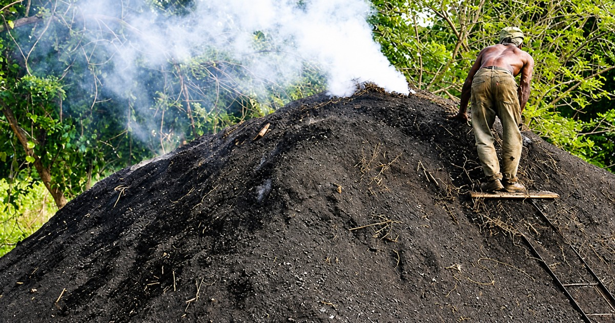 Fines for Charcoal Production Surge in Sancti Sp&iacute;ritus Amid Energy Crisis